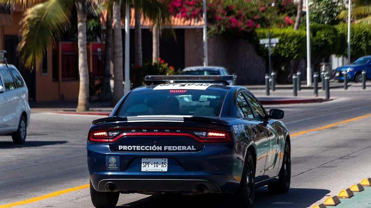 patrulla-proteccion-federal