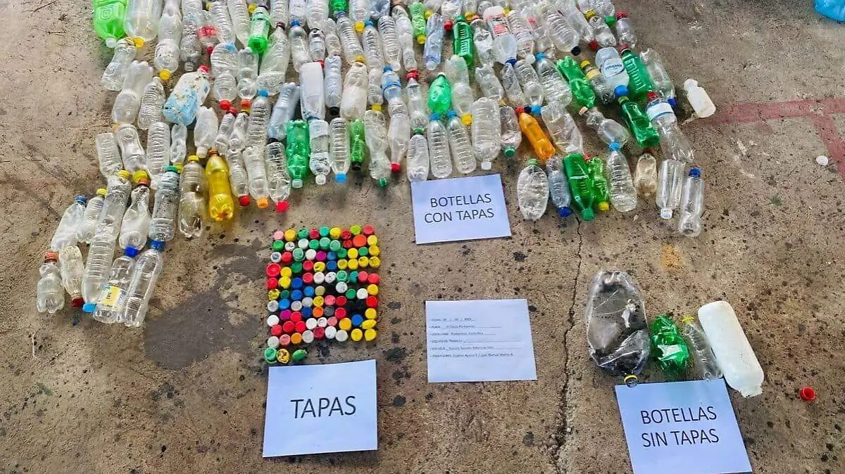 OMaule_plastic_bottles_02