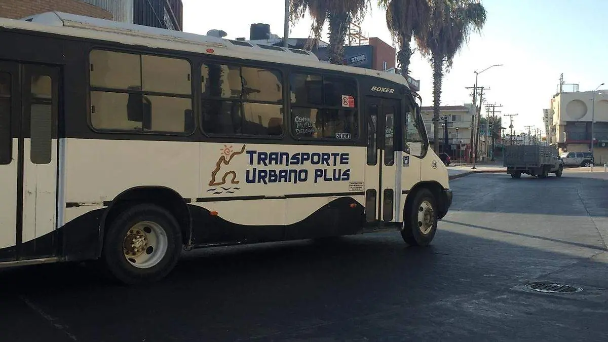 unidad-transporte-publico-calle-los-cabos