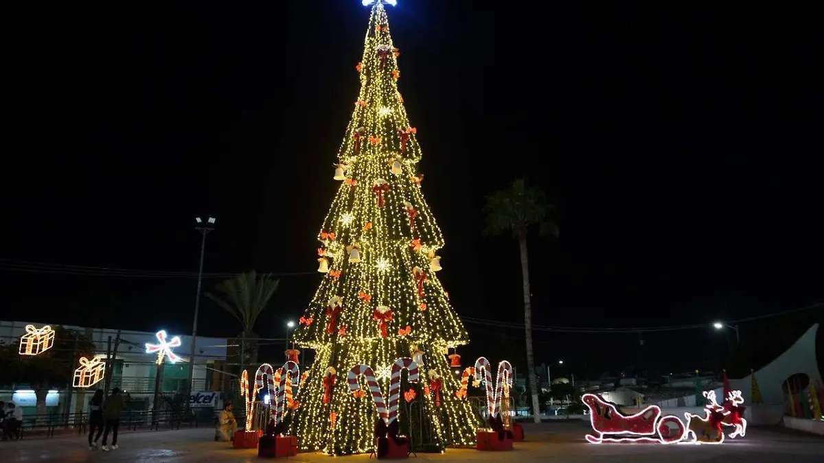 encendido arbol navidad los cabos 1