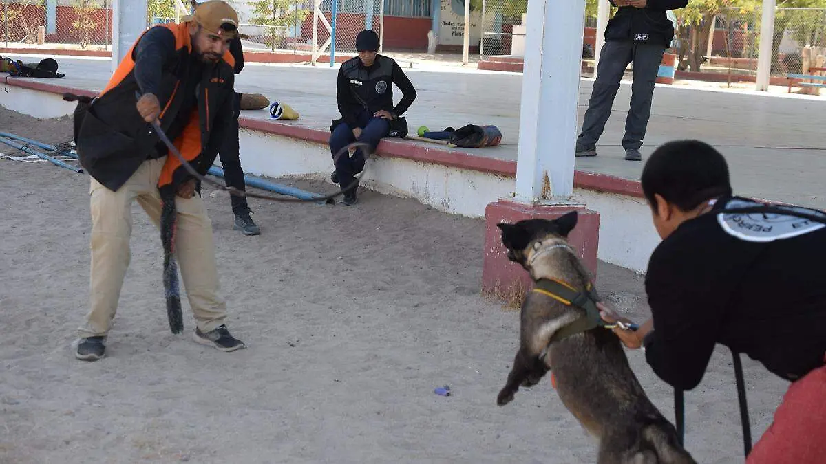 arturo vergara perros