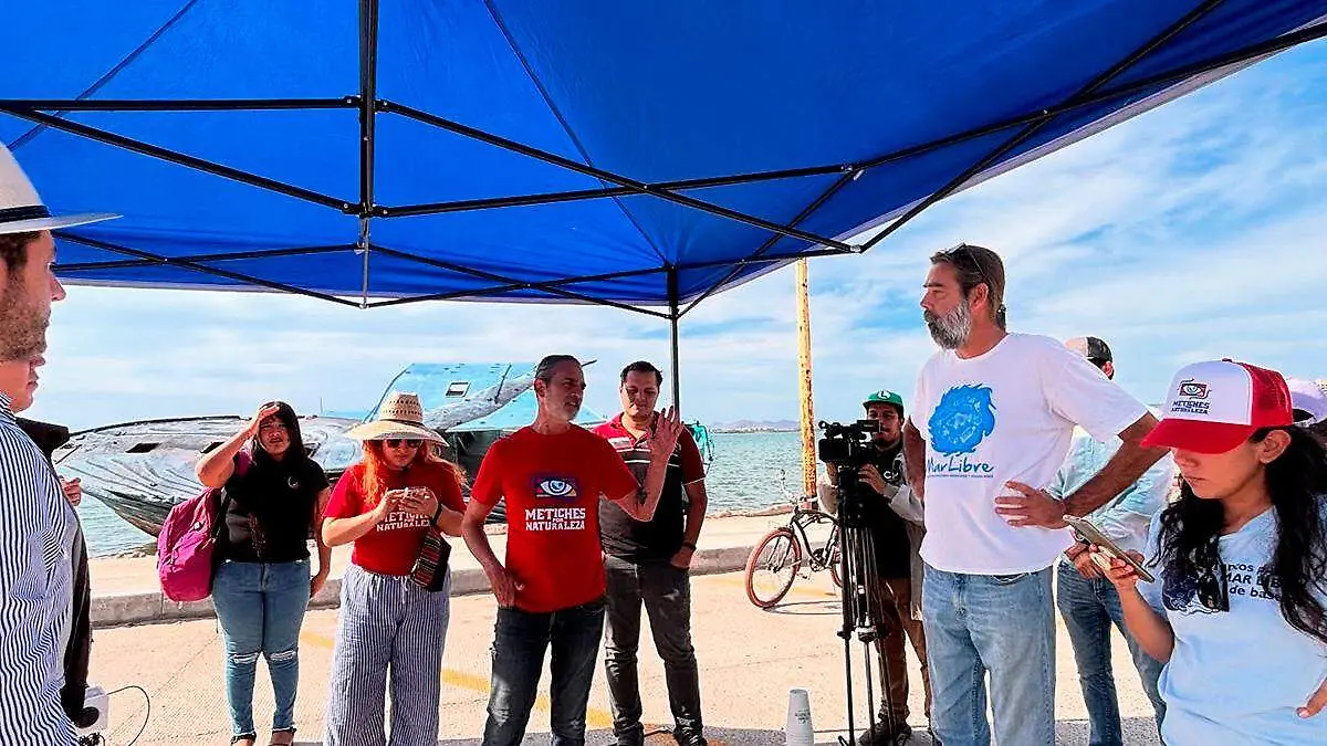 metiches-por-naturaleza-mar-libre