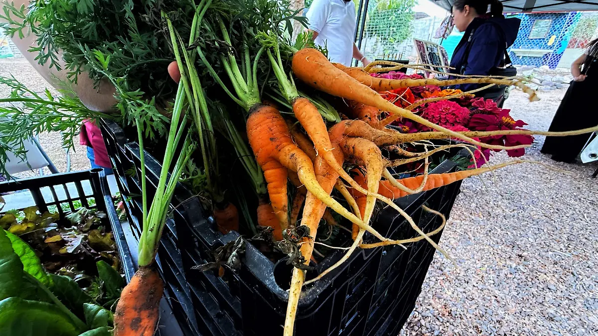 Comida Verdura en puesto o super para venta