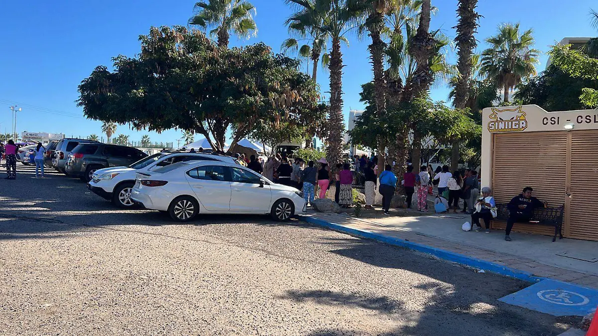 entrega pavos en los cabos 2