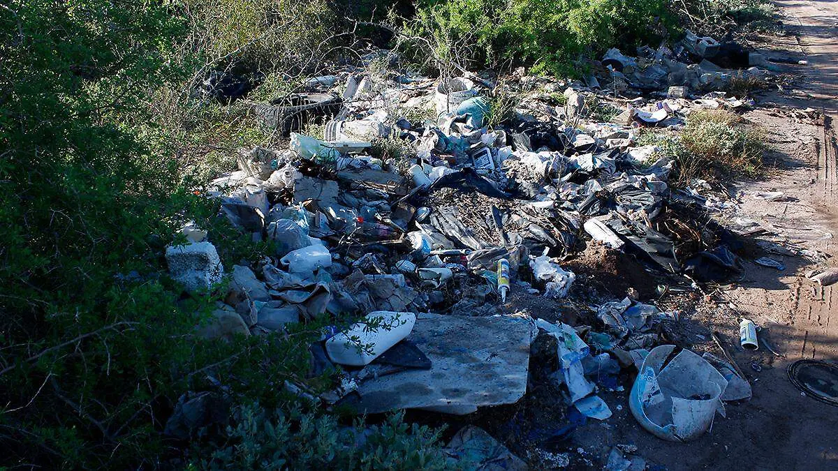 limpieza-comitan-mar-libre-2