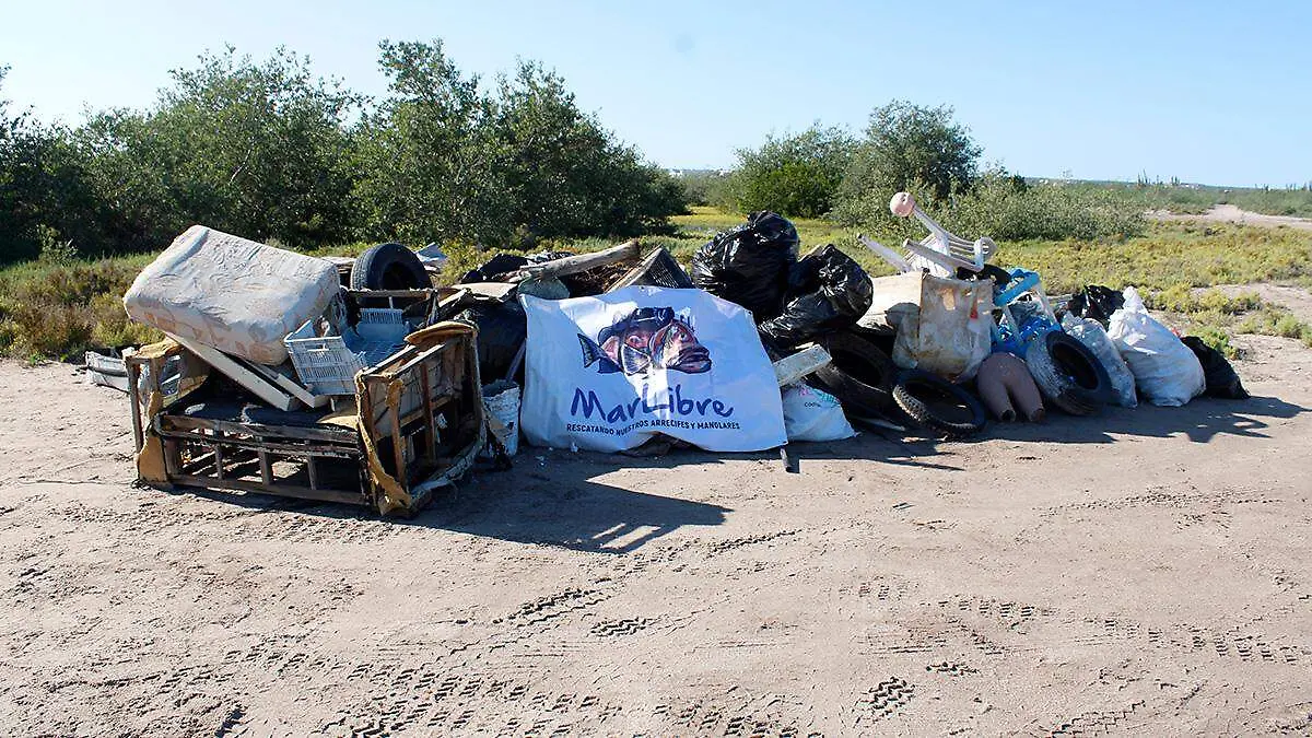 limpieza-comitan-mar-libre-5