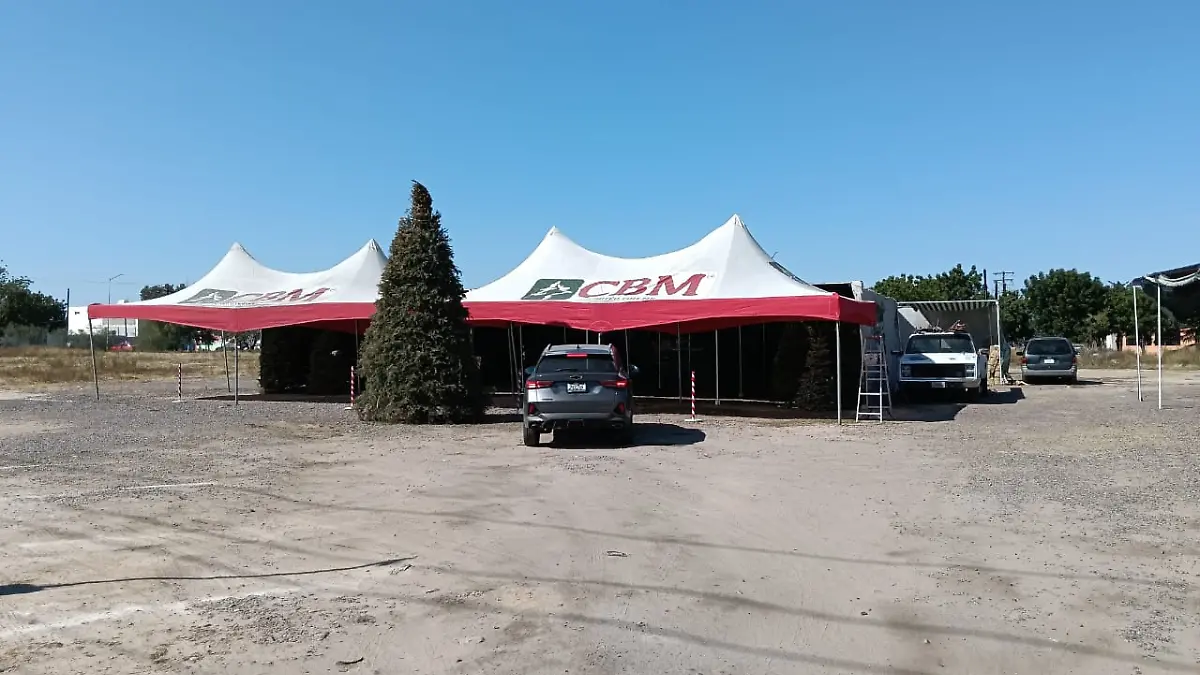 Local de venta de pinos