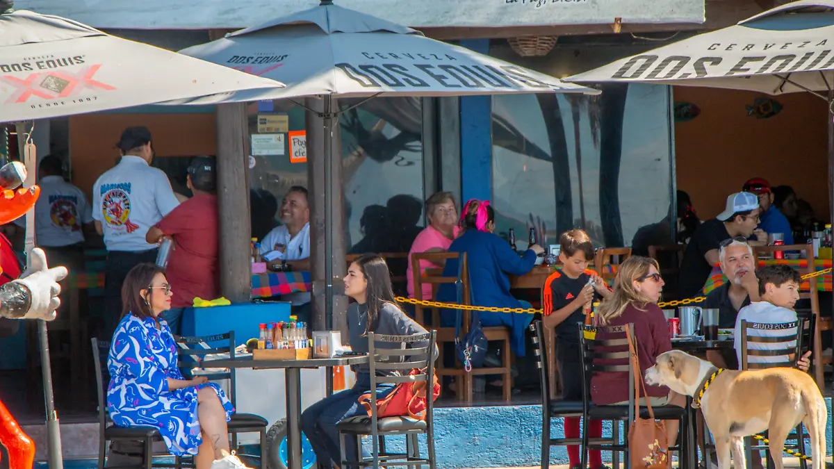 Añadir un título - 2025-12-20T174201.711