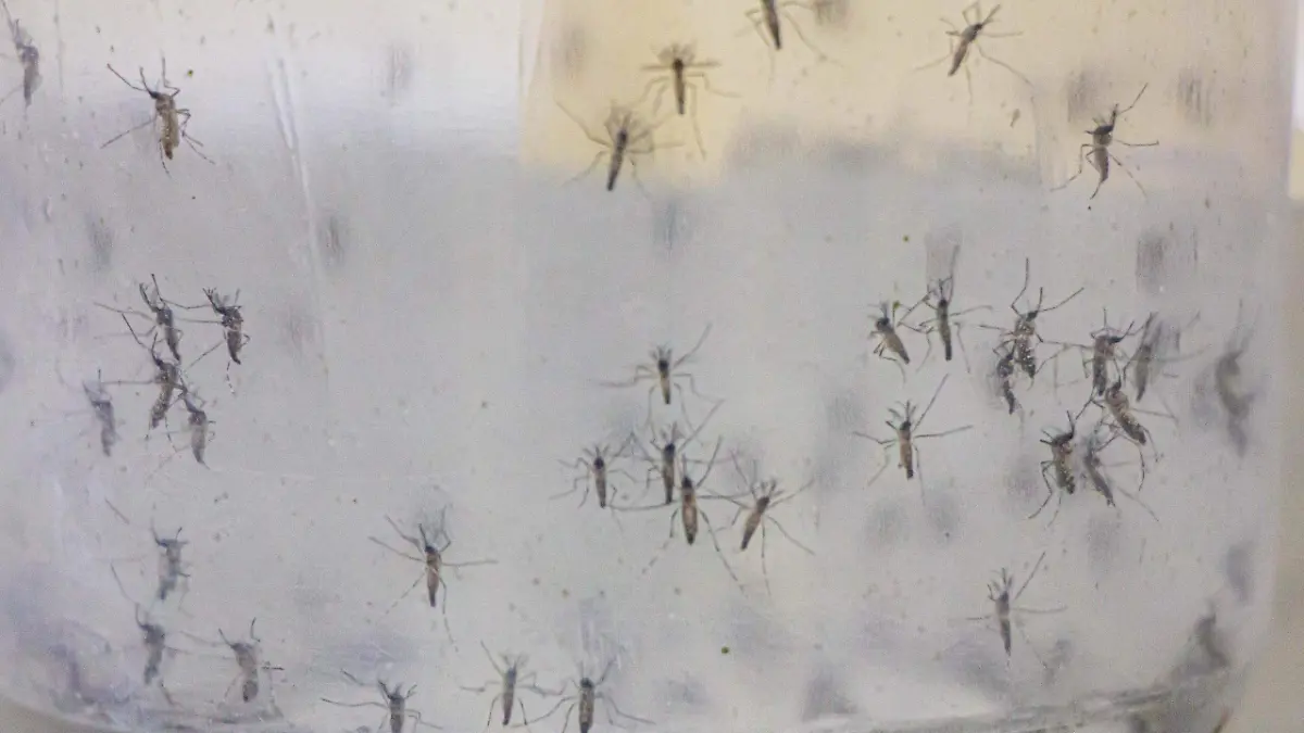 5b470526-2646-48ee-b9cb-12b01aaf3375