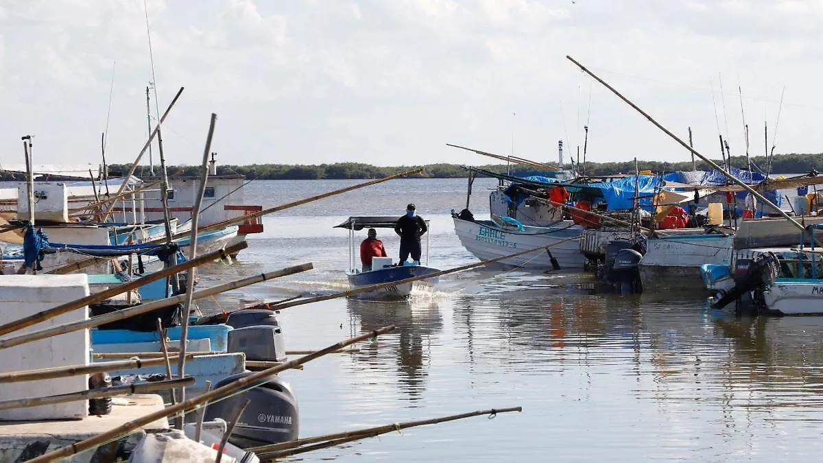 lanchas-pesca-orilla-bahia