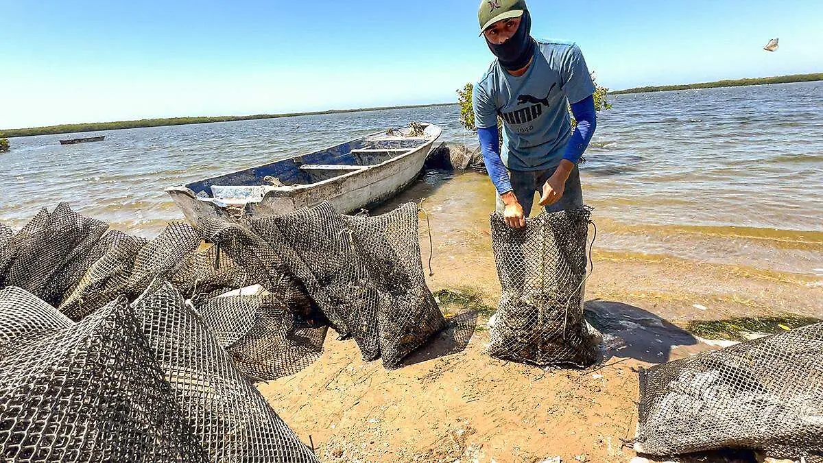 pescador-sudcaliforniano