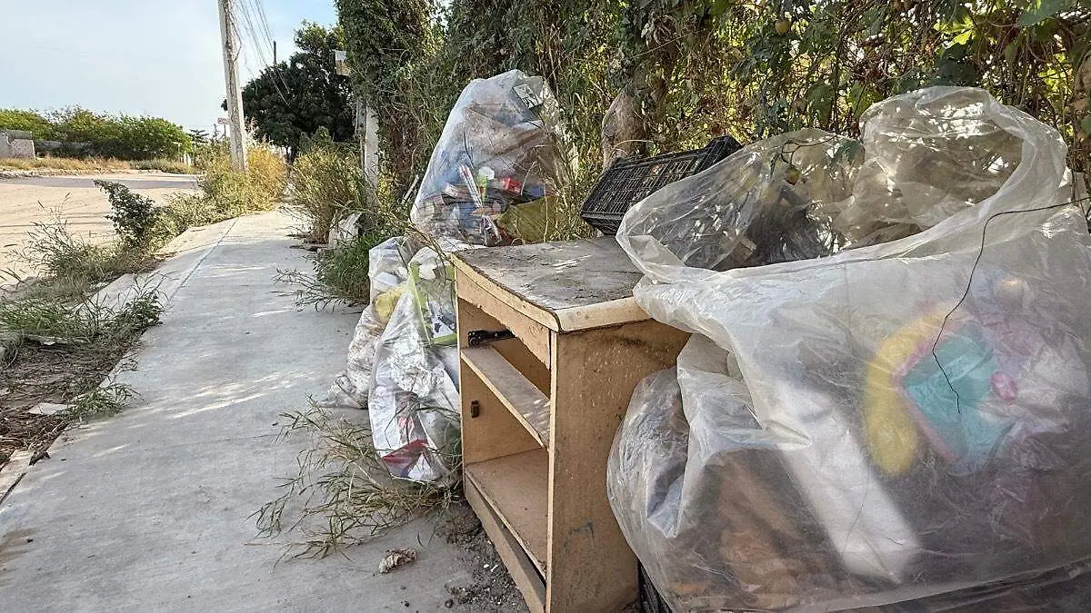 Basura la pasión 1