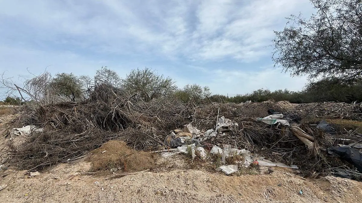 Basura en lugar que no corresponde