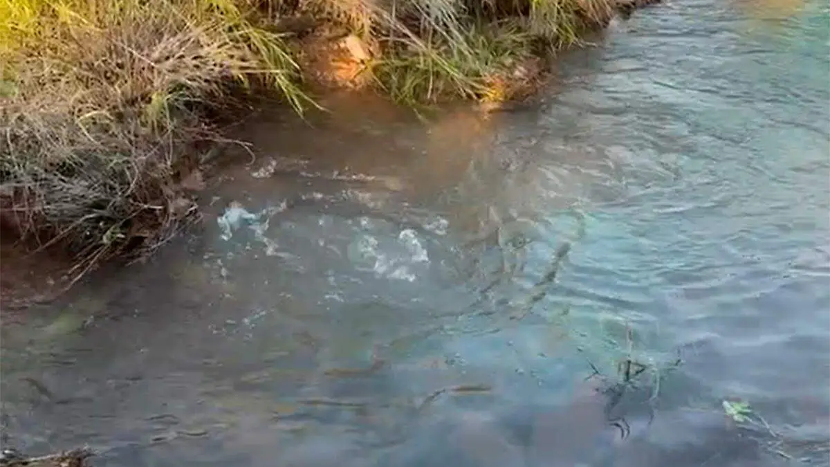 fuga-de-agua-potable-acueducto-mulege