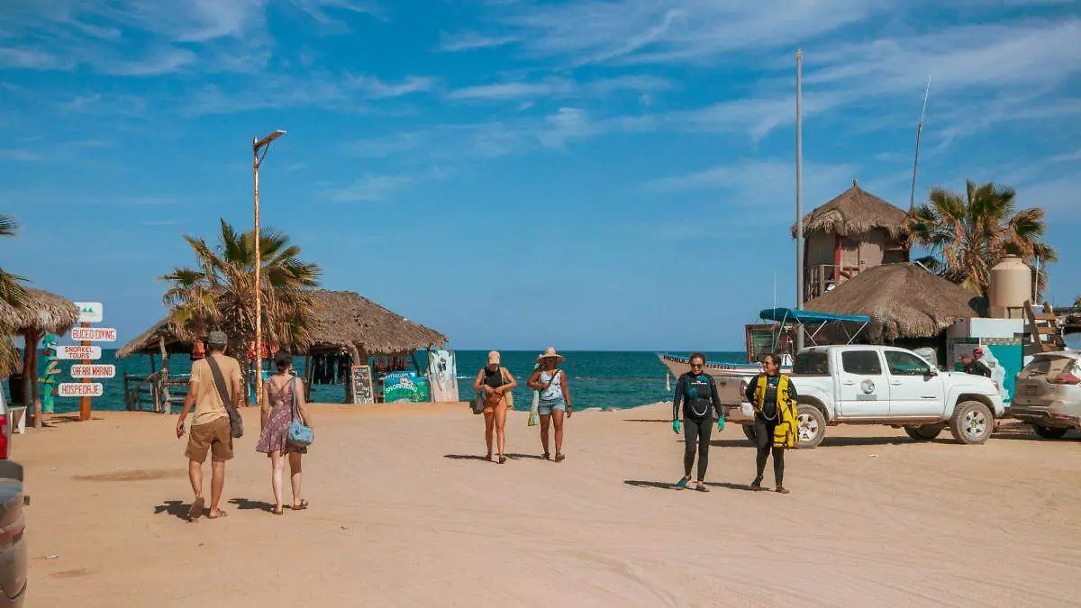 616e1b44-a1a7-47a0-a438-cb1bc6b1dd20