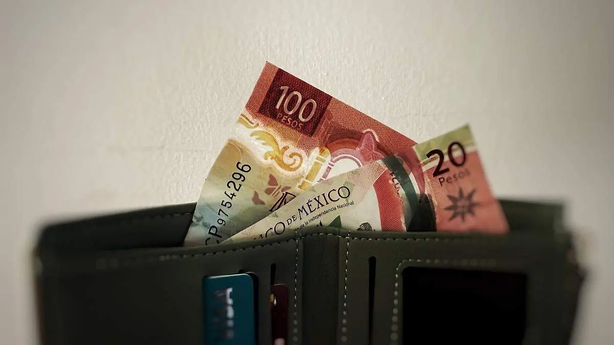 Dinero-Billetes-Cartera-Salario Minimo