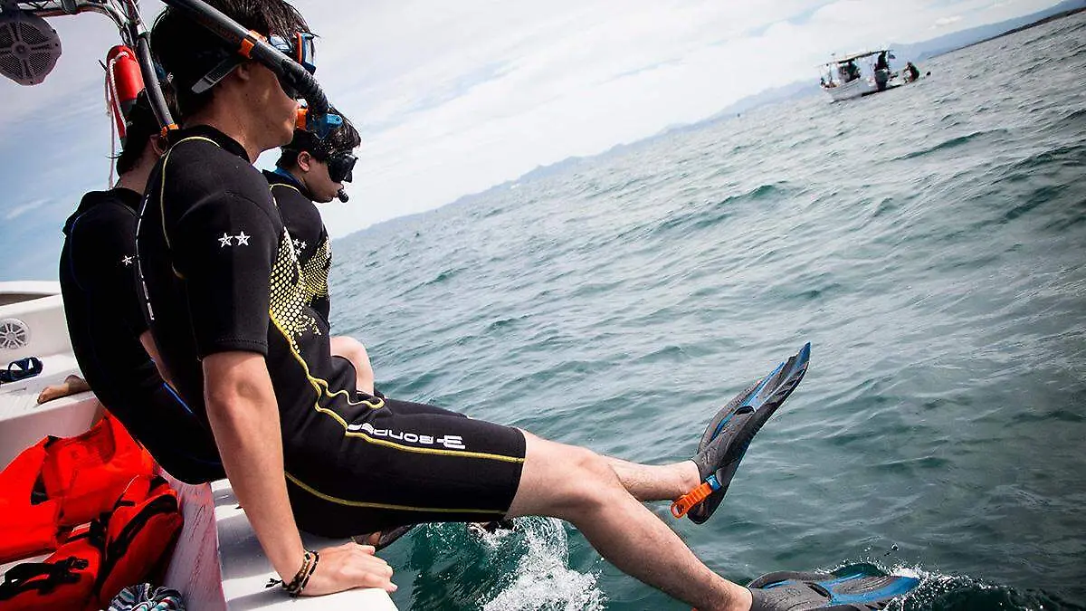 turismo-avistamiento-tiburon-ballena