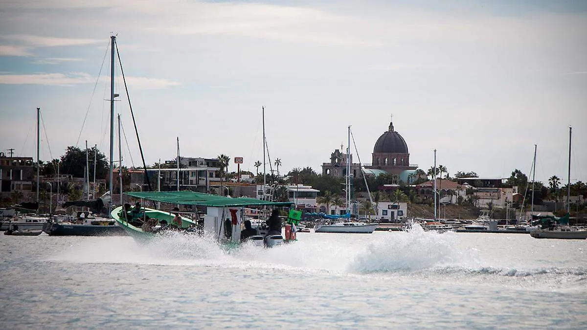 bahia-de-la-paz-avistamiento-tiburon-ballena