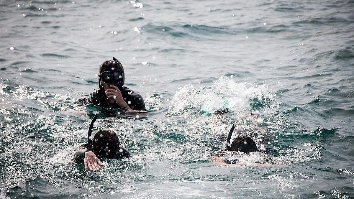 snoquel-avistamiento-tiburon-ballena