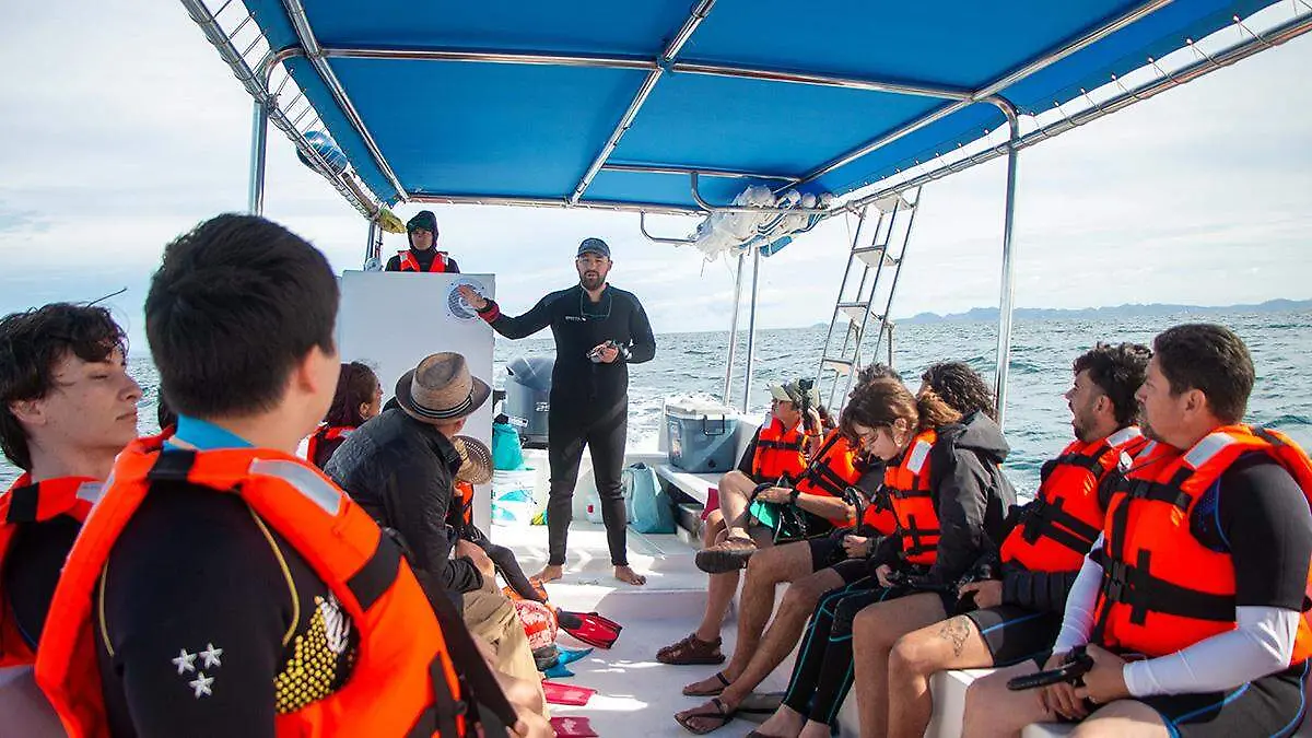 personas-avistamiento-tiburon-ballena