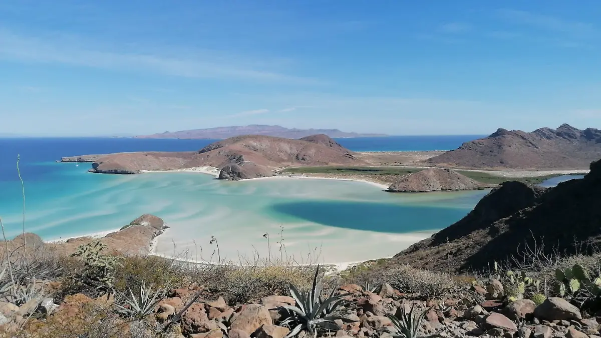 Añadir un título - 2026-01-08T233154.425