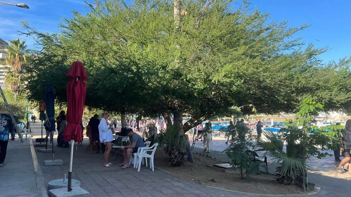 87916887-19a0-43a6-98cb-beb0333688b7