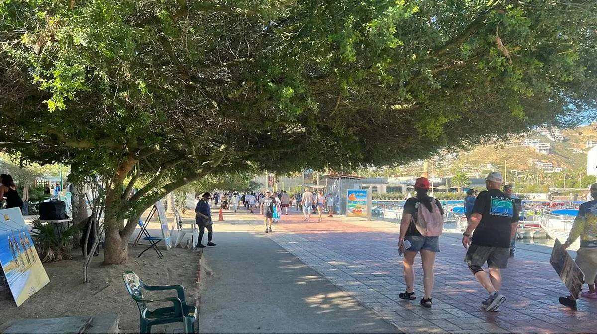 personas-caminando-andador-centro-cabo-san-lucas
