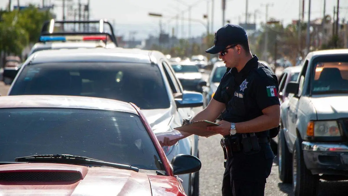 Revisión del polarizado