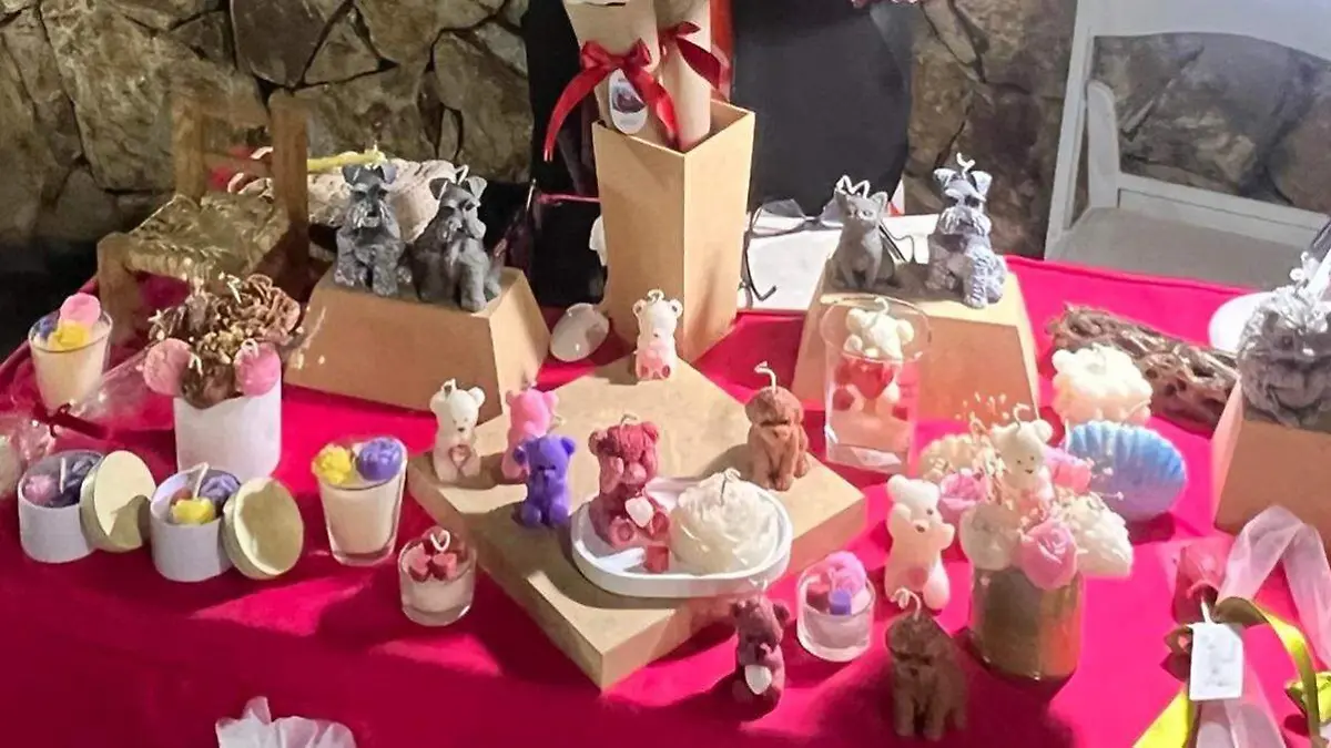 13509094-a3de-40af-96cc-890278a1ce20