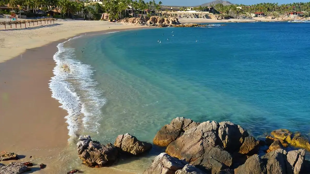 Playa el chileno los cabos