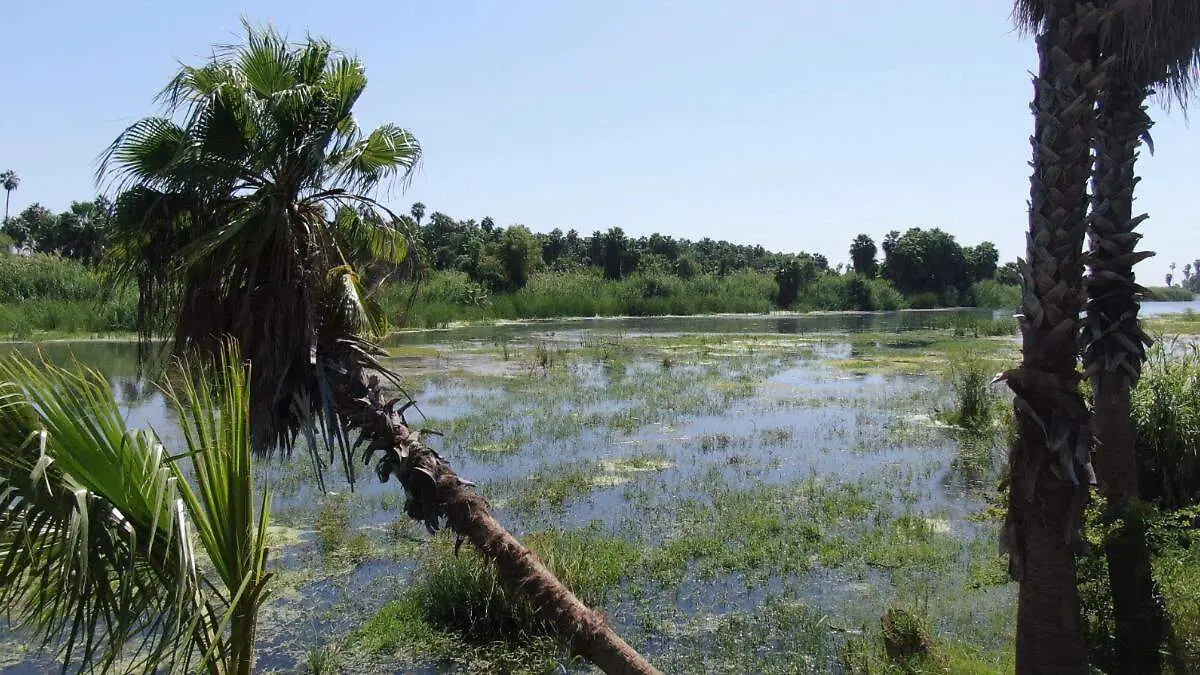 f1073b64-0677-4956-9065-c324dc457fa4