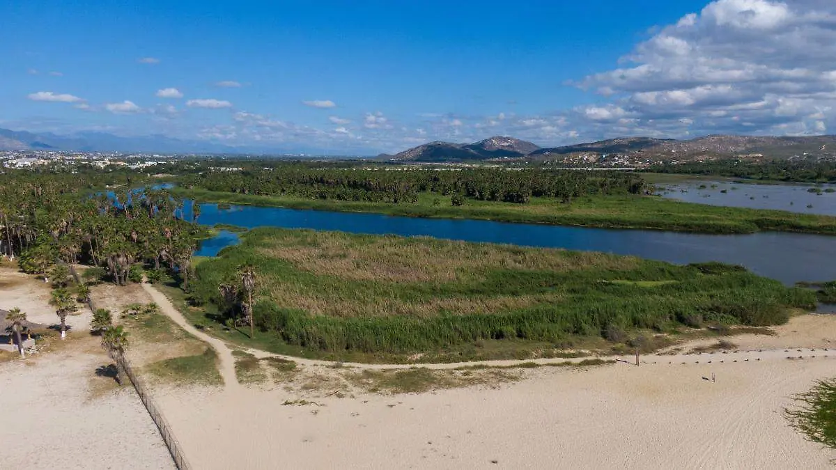 Estero de San Jose 5