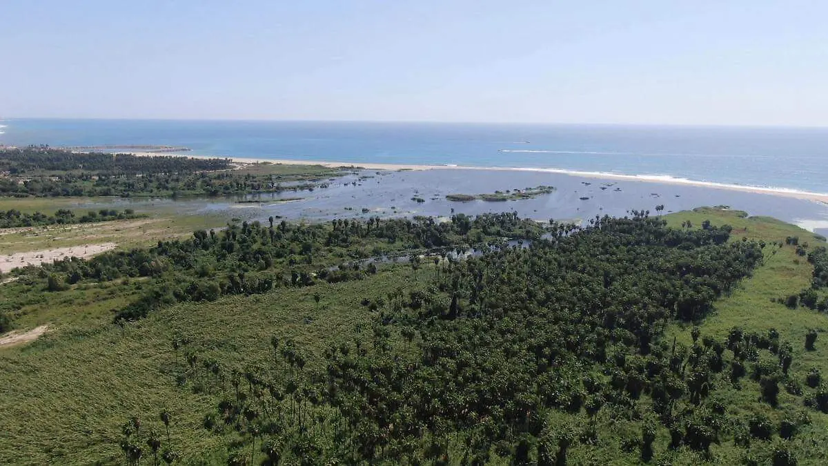 Estero de San Jose 3