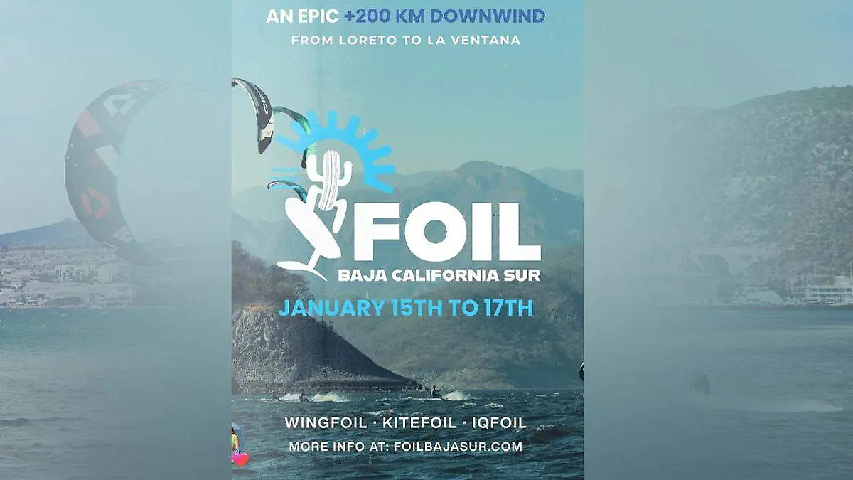 windsurf foil bcs cartel