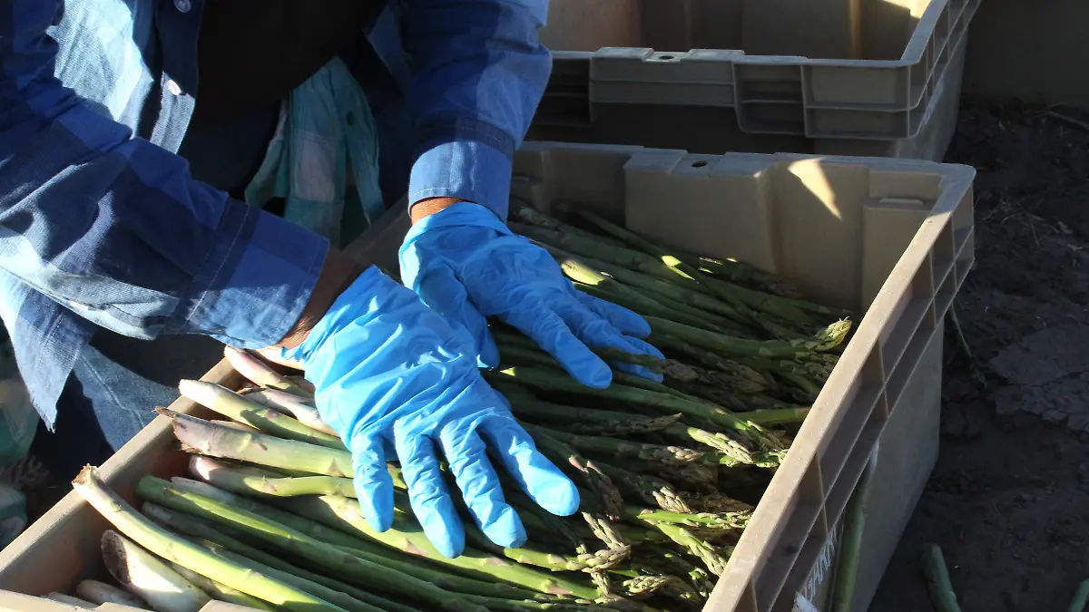 Añadir un título - 2026-01-14T133039.703