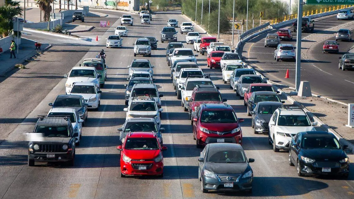 Trafico - cola - de- la - ballena