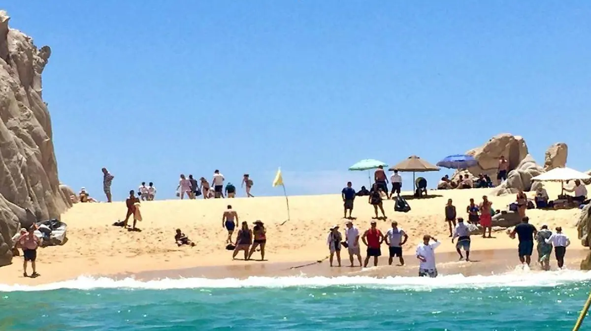 d1913b4b-3749-4a69-8f77-d7e3b5a009d4