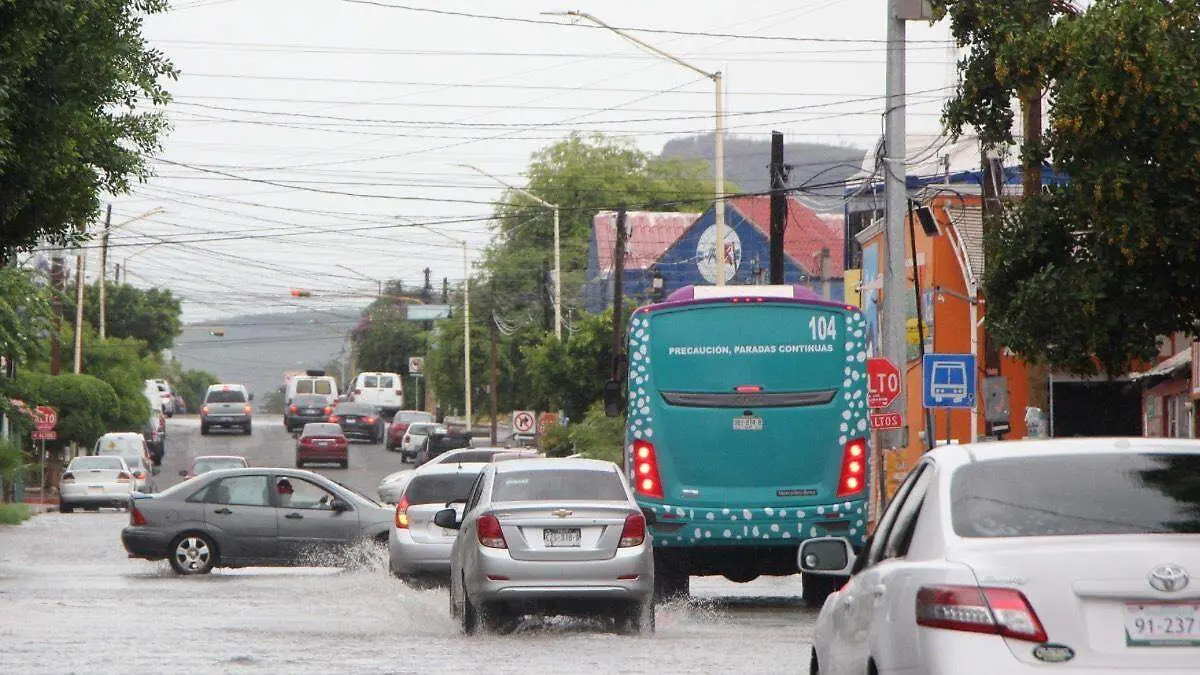 unidad-tiburon-urbano-circulando-trafico-lluvia-calle-la-paz