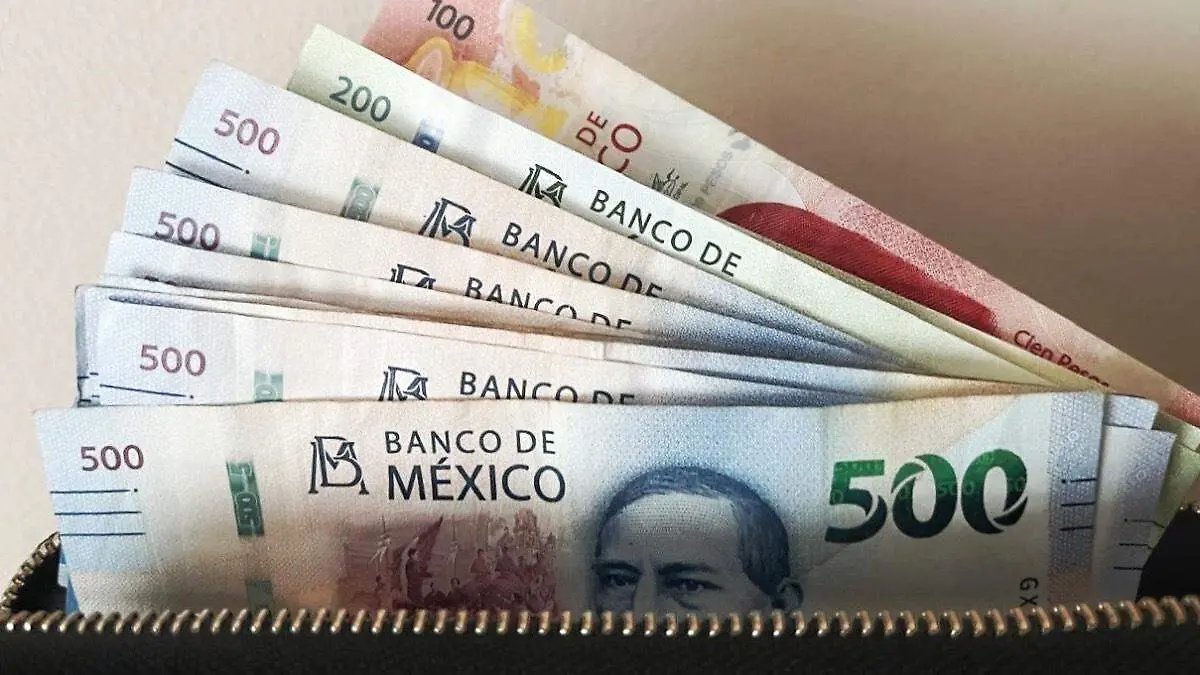 Cartera con quincena