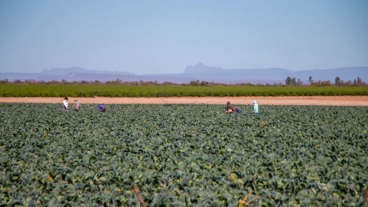 Añadir un título - 2026-01-18T215049.572