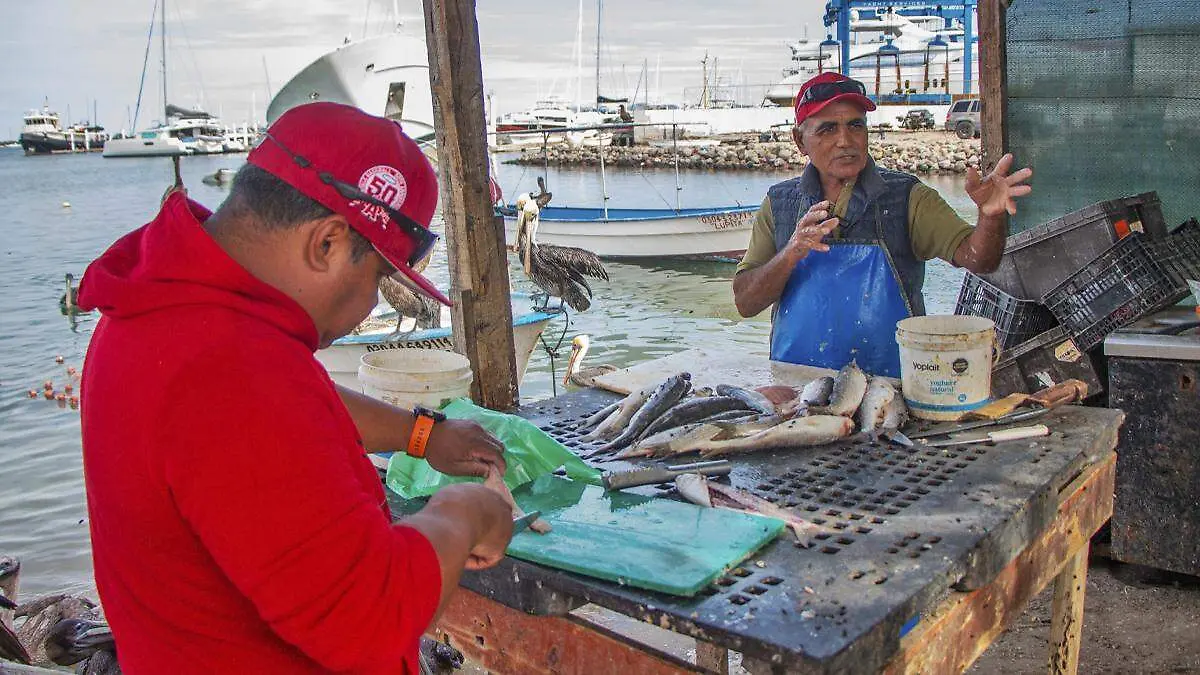 fileteando pescadores manglito