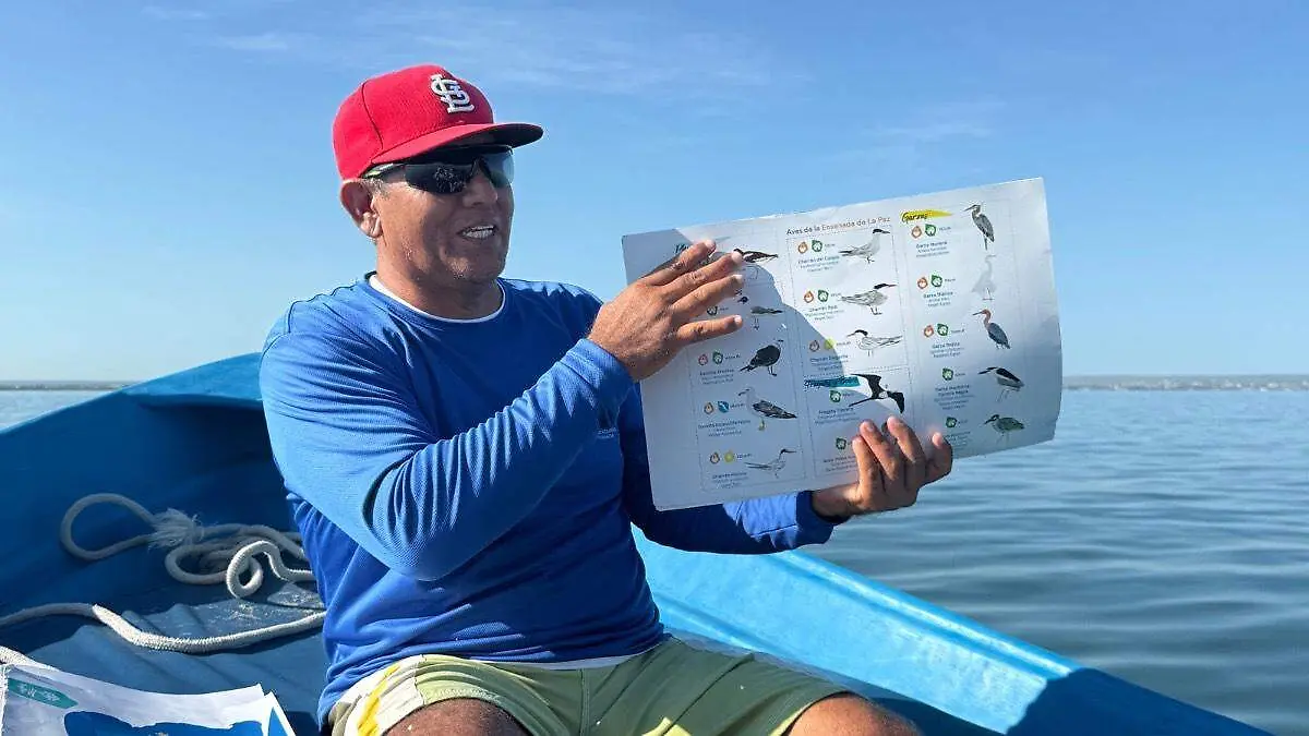 hubert-mendez-coordinador-manglitours-durante-recorrido-explicando-presencia-aves-ensenada-la-paz