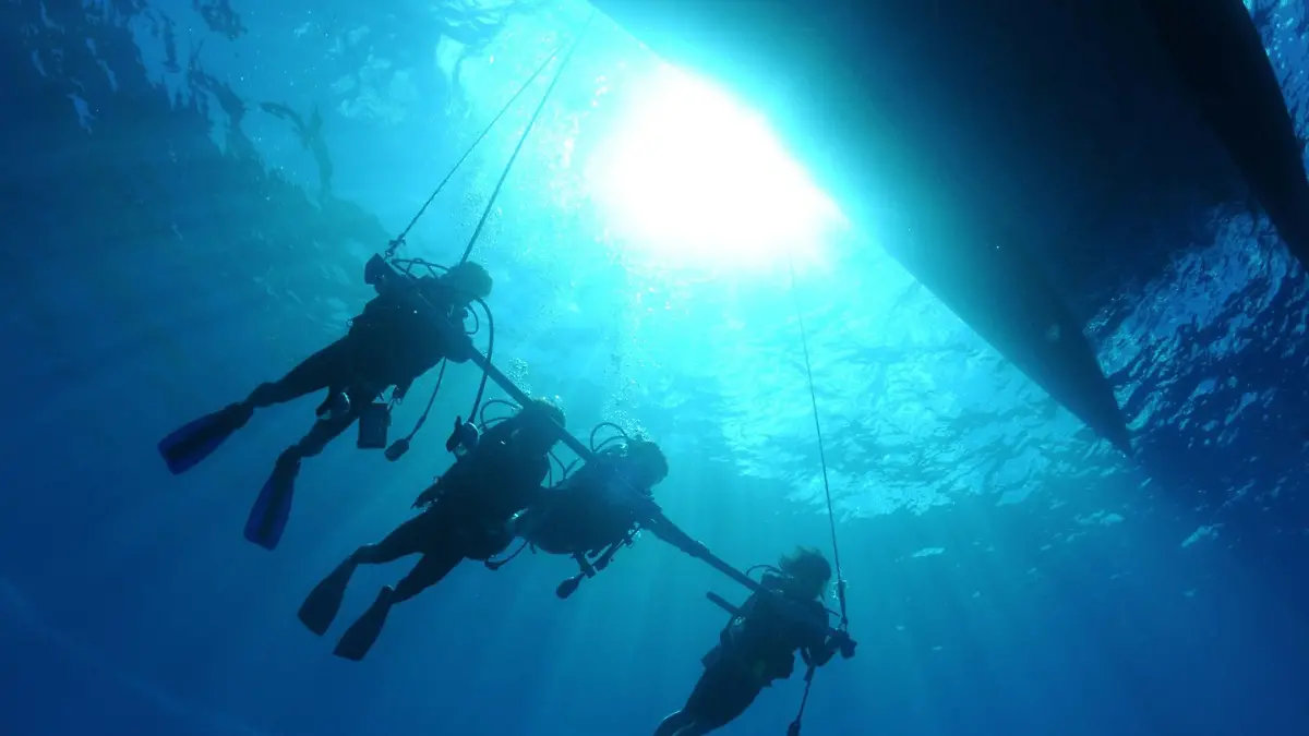 Añadir un título - 2026-01-24T165908.165