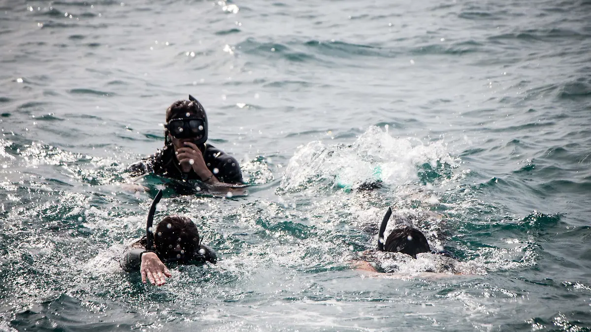 personas-nadando-tiburon ballena-la-paz