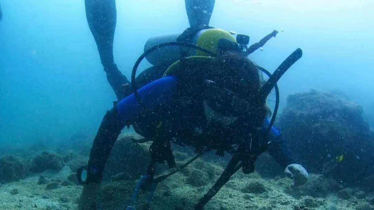 buzo-bajo-manglares-la-paz