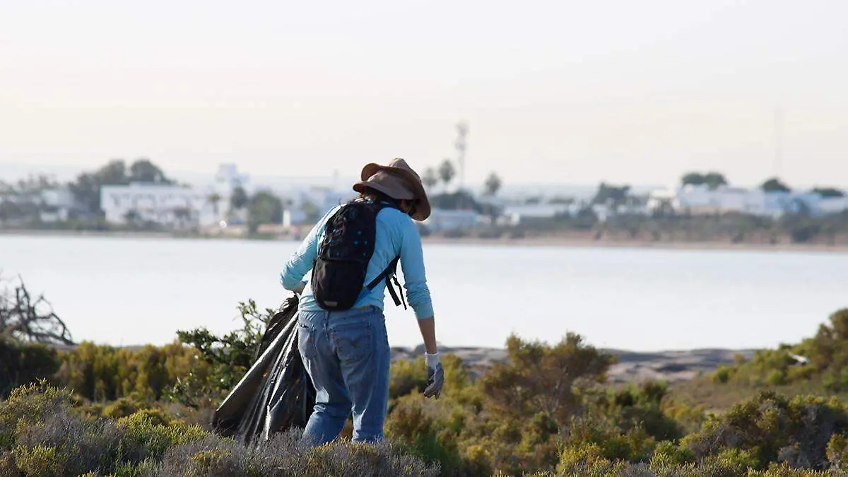 persona-recogiendo-basura-manglar-el-comitan
