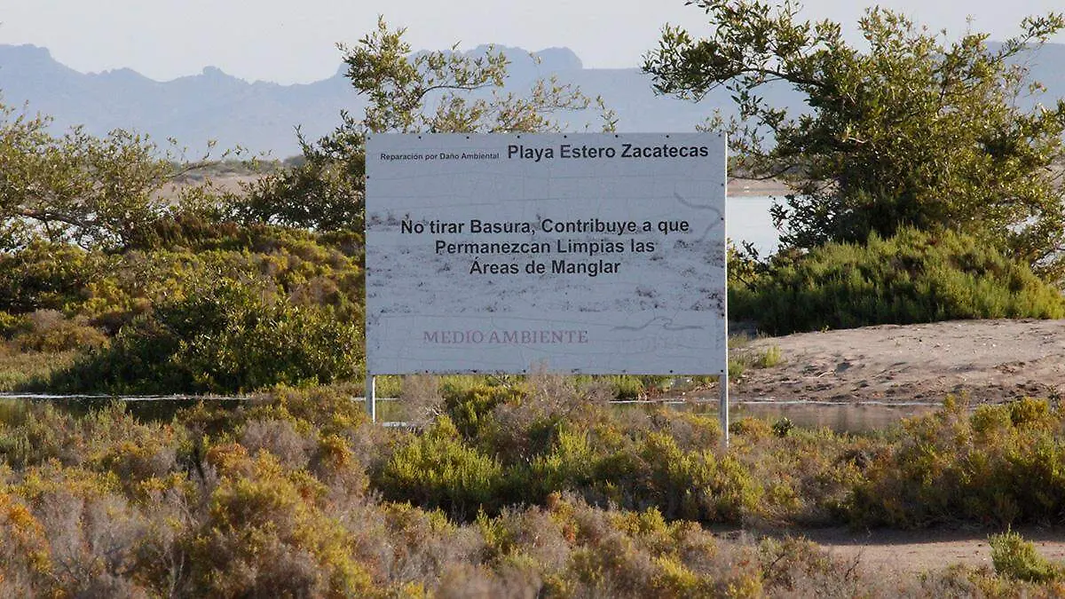 playa-estero-zacatecas