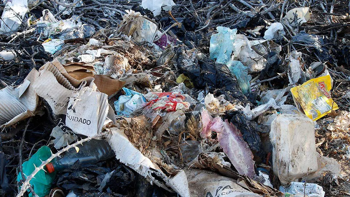 basura-suelo-manglar-el-comitan