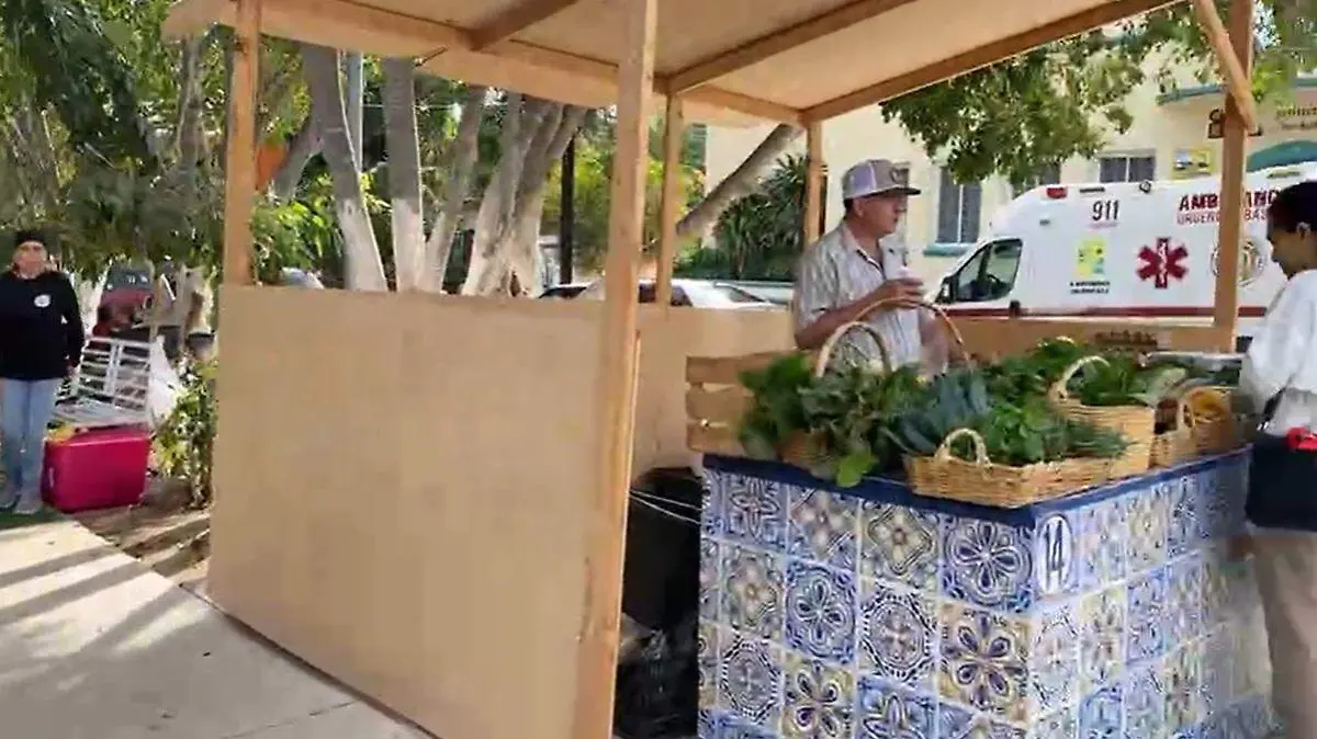 Vendedor del mercado