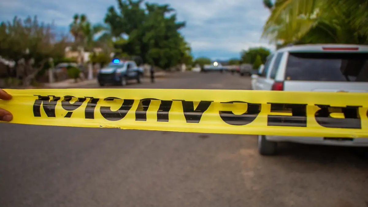 918c30f3-df54-4a48-a3b6-0df6c828e310